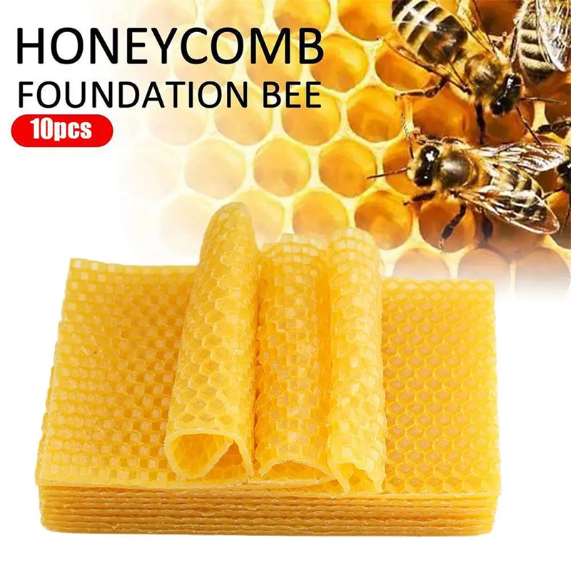 Candle Supplies Beeswax - แผ่นขี้ผึ้งธรรมชาติ 10/20 ชิ้น แผ่นรังผึ้ง โครงรังผึ้ง แผ่นฐานขี้ผึ้งสำหรับทำเทียน