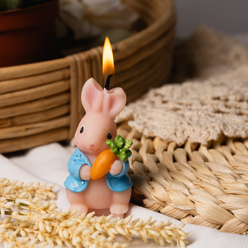 อุปกรณ์จัดงานปาร์ตี้สำหรับเด็ก - Supplies Of Candle บทวิจารณ์และราคา