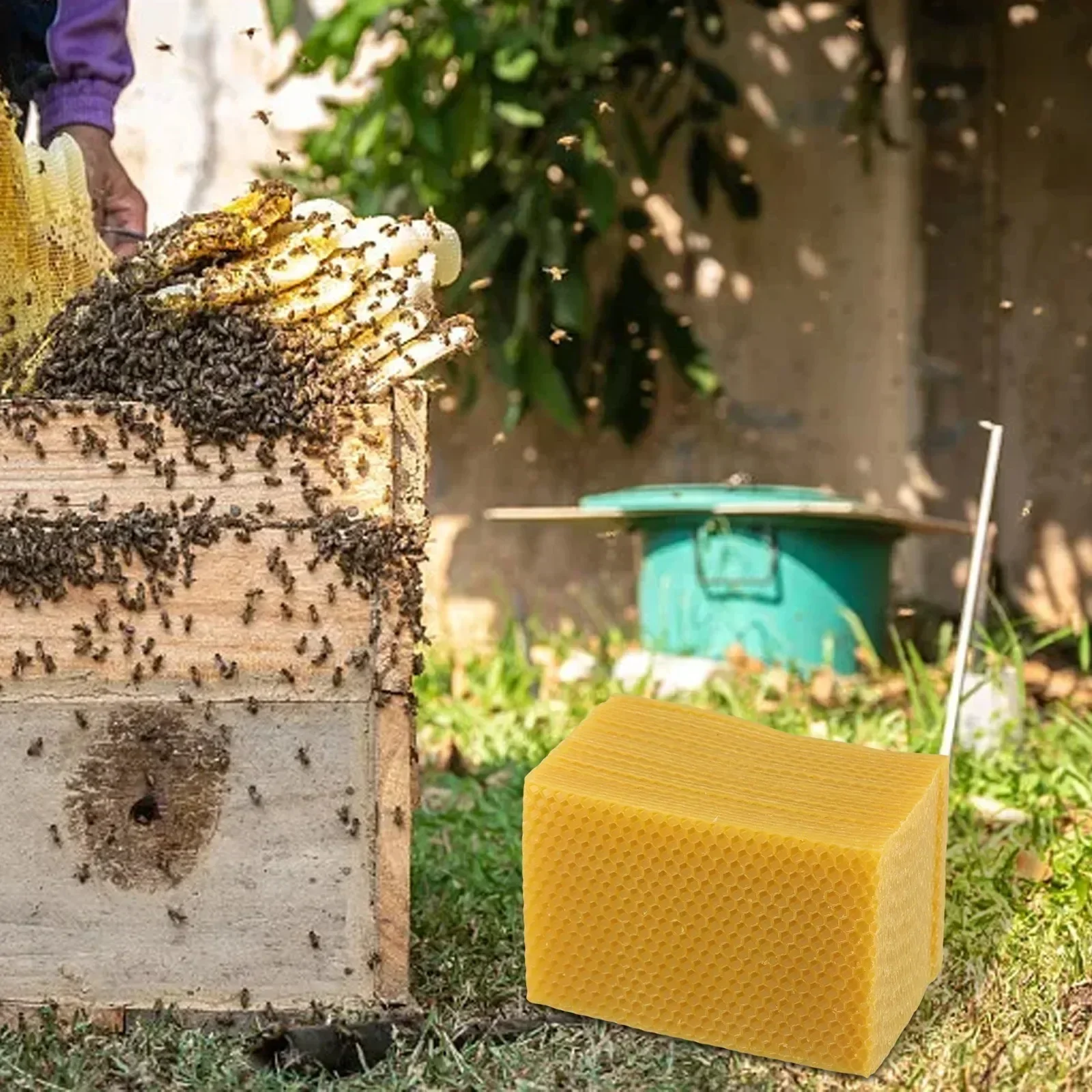 Beehive อุปกรณ์ Beehive Founda - Candle Supplies Beeswax บทวิจารณ์และราคา